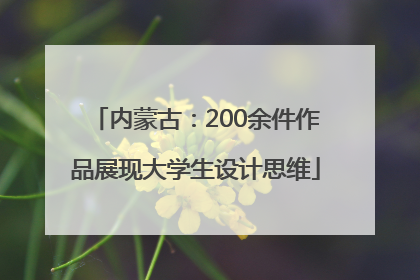 内蒙古：200余件作品展现大学生设计思维