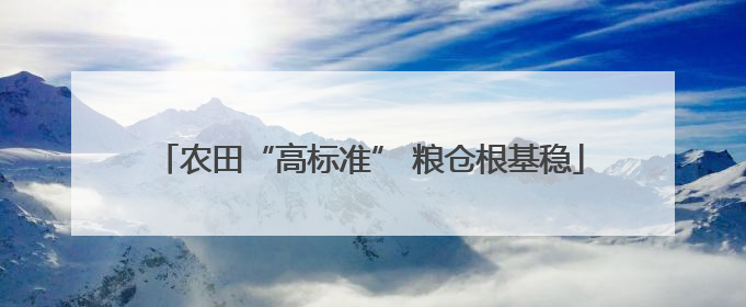 农田“高标准” 粮仓根基稳