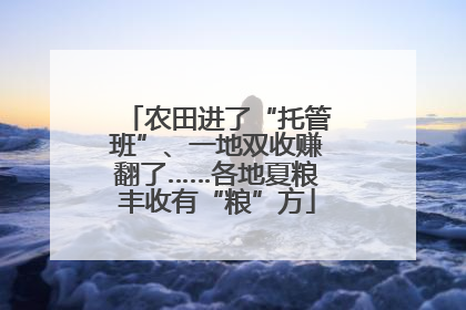 农田进了“托管班”、一地双收赚翻了……各地夏粮丰收有“粮”方
