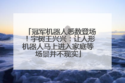 冠军机器人悉数登场！宇树王兴兴：让人形机器人马上进入家庭等场景并不现实