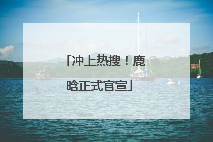 冲上热搜！鹿晗正式官宣