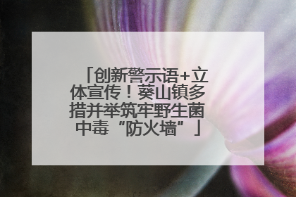 创新警示语+立体宣传！葵山镇多措并举筑牢野生菌中毒“防火墙”