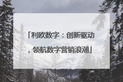 利欧数字：创新驱动，领航数字营销浪潮