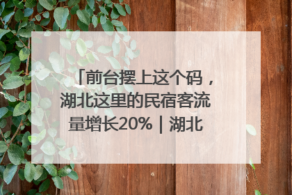 前台摆上这个码，湖北这里的民宿客流量增长20%｜湖北市场监管所的故事