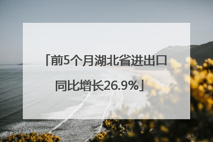 前5个月湖北省进出口同比增长26.9%