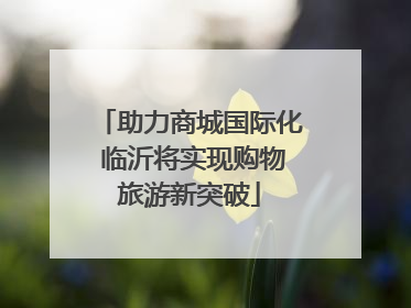 助力商城国际化 临沂将实现购物旅游新突破