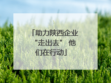 助力陕西企业“走出去” 他们在行动