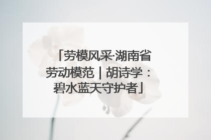 劳模风采·湖南省劳动模范｜胡诗学：碧水蓝天守护者