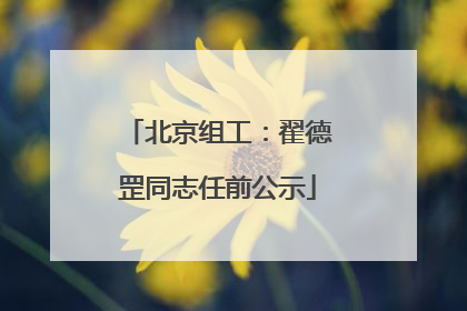 北京组工：翟德罡同志任前公示
