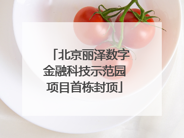 北京丽泽数字金融科技示范园项目首栋封顶