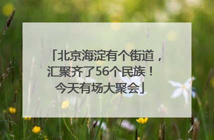 北京海淀有个街道，汇聚齐了56个民族！今天有场大聚会