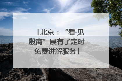 北京：“看·见殷商”展有了定时免费讲解服务