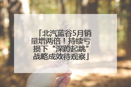 北汽蓝谷5月销量增两倍！持续亏损下“深蹲起跳”战略成效待观察