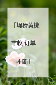 埇桥黄桃丰收 订单不断