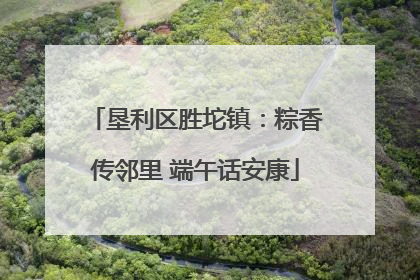 垦利区胜坨镇：粽香传邻里 端午话安康