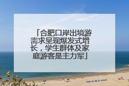 合肥口岸出境游需求呈现爆发式增长，学生群体及家庭游客是主力军