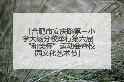 合肥市安庆路第三小学大杨分校举行第六届“和美杯”运动会暨校园文化艺术节