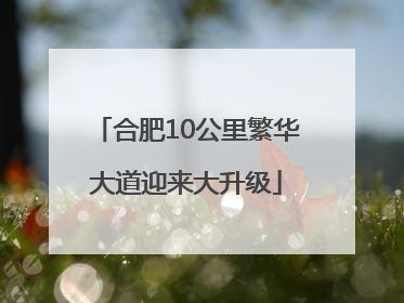 合肥10公里繁华大道迎来大升级