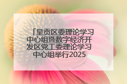 呈贡区委理论学习中心组暨数字经济开发区党工委理论学习中心组举行2025年第七次学习会议