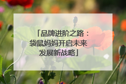 品牌进阶之路：袋鼠妈妈开启未来发展新战略