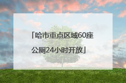 哈市重点区域60座公厕24小时开放