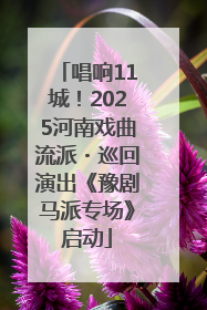 唱响11城！2025河南戏曲流派・巡回演出《豫剧马派专场》启动