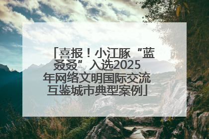 喜报！小江豚“蓝叒叒”入选2025年网络文明国际交流互鉴城市典型案例