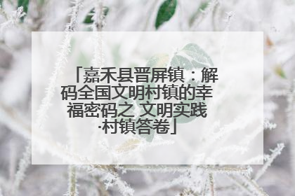 嘉禾县晋屏镇：解码全国文明村镇的幸福密码之 文明实践·村镇答卷