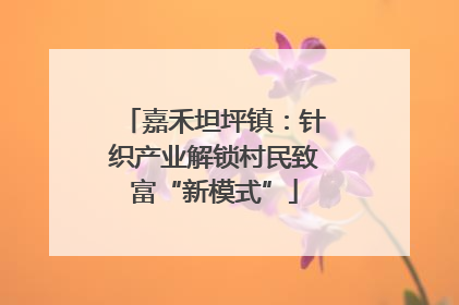 嘉禾坦坪镇：针织产业解锁村民致富“新模式”