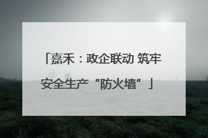 嘉禾：政企联动 筑牢安全生产“防火墙”