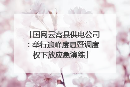 国网云霄县供电公司：举行迎峰度夏暨调度权下放应急演练