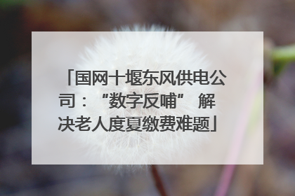 国网十堰东风供电公司：“数字反哺” 解决老人度夏缴费难题