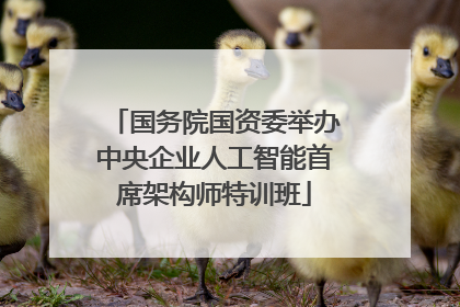 国务院国资委举办中央企业人工智能首席架构师特训班
