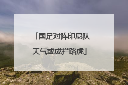 国足对阵印尼队 天气或成拦路虎