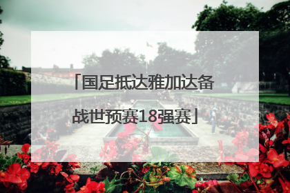 国足抵达雅加达备战世预赛18强赛
