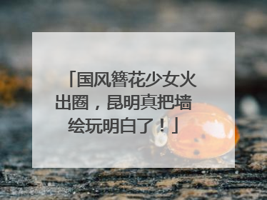 国风簪花少女火出圈，昆明真把墙绘玩明白了！