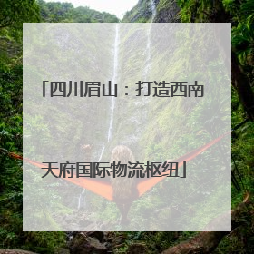 四川眉山：打造西南天府国际物流枢纽