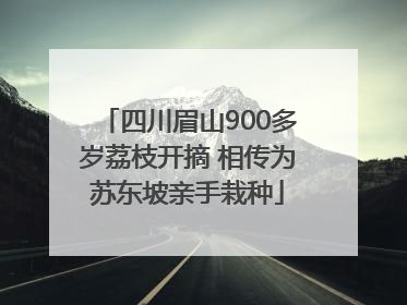 四川眉山900多岁荔枝开摘 相传为苏东坡亲手栽种