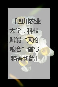 四川农业大学：科技赋能“天府粮仓”谱写稻香新篇