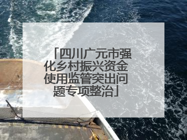 四川广元市强化乡村振兴资金使用监管突出问题专项整治