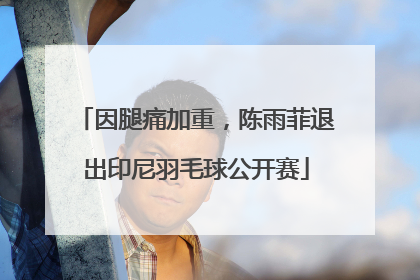 因腿痛加重，陈雨菲退出印尼羽毛球公开赛