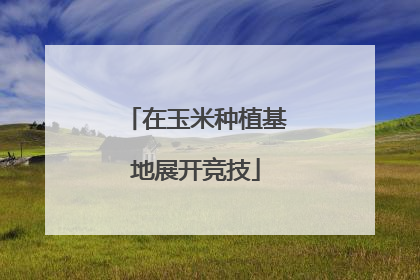 在玉米种植基地展开竞技