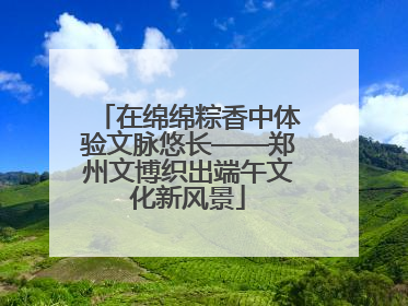 在绵绵粽香中体验文脉悠长——郑州文博织出端午文化新风景