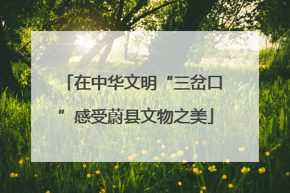 在中华文明“三岔口”感受蔚县文物之美