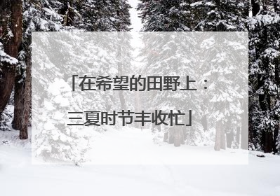 在希望的田野上：三夏时节丰收忙