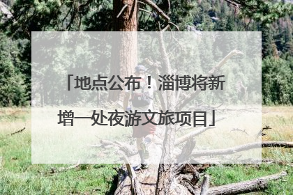 地点公布！淄博将新增一处夜游文旅项目