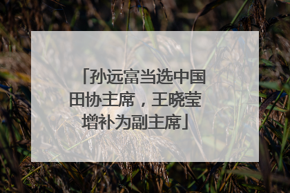 孙远富当选中国田协主席，王晓莹增补为副主席