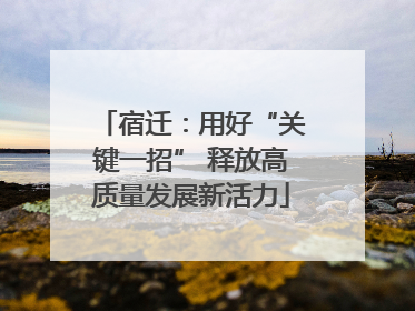 宿迁：用好“关键一招” 释放高质量发展新活力