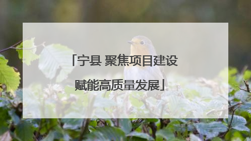 宁县 聚焦项目建设 赋能高质量发展