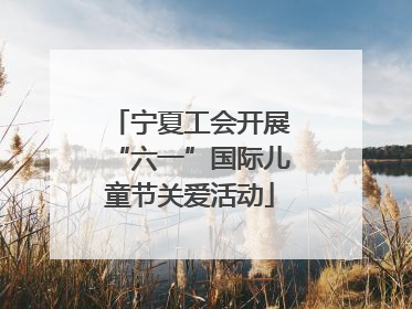 宁夏工会开展“六一”国际儿童节关爱活动